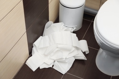 Photo of Unrolled toilet paper on floor in bathroom