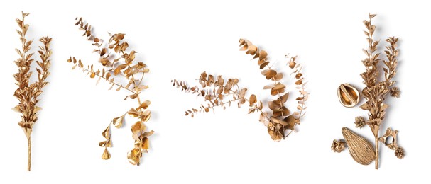 Image of Set of beautiful gold painted branches with leaves on white background, top view