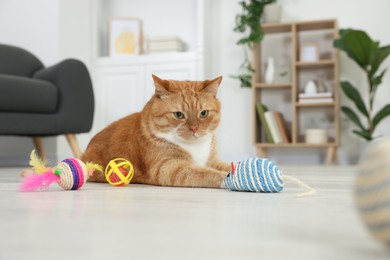 Photo of Cute ginger cat playing with toys at home