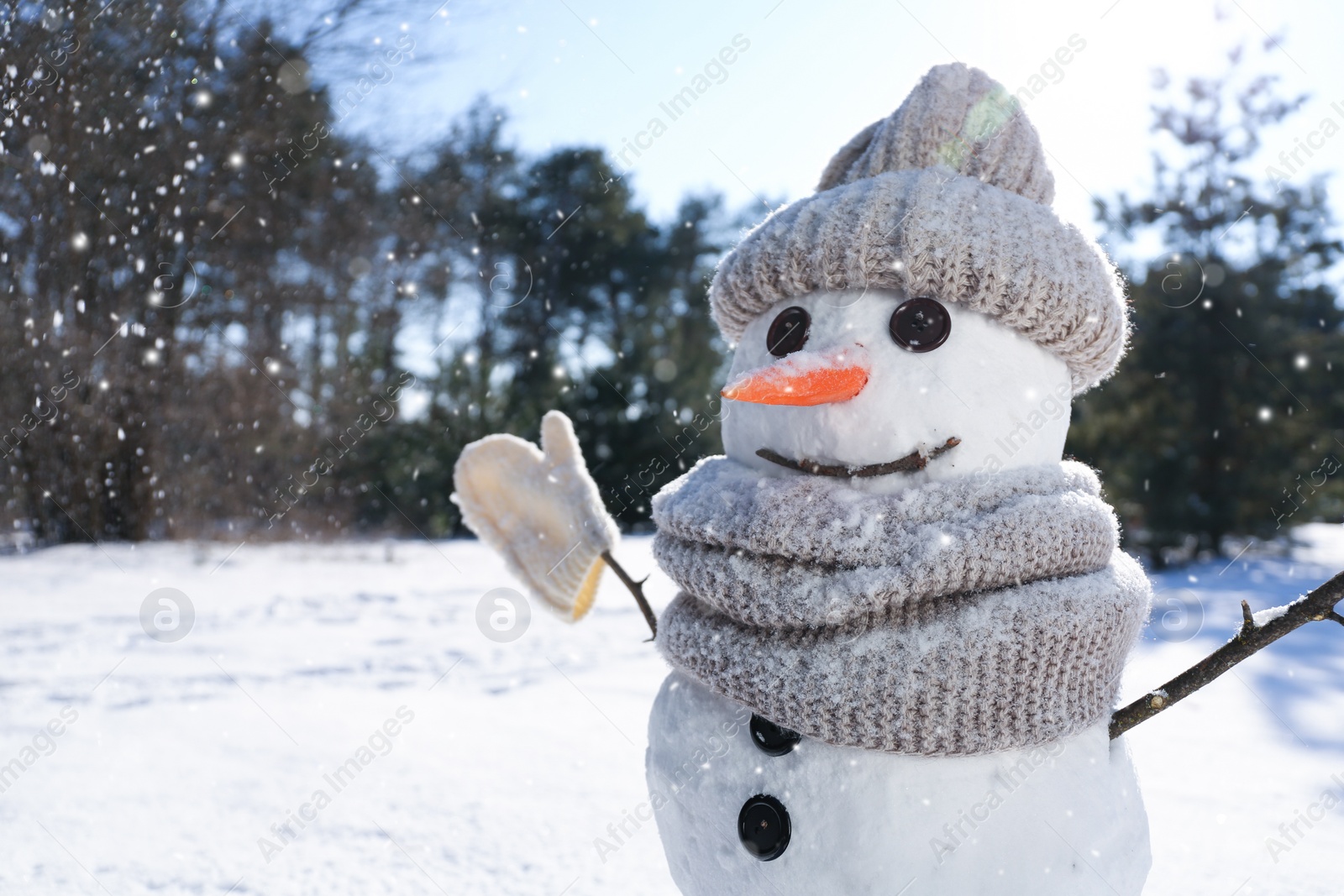 Photo of Funny snowman with hat and scarf in winter forest on sunny day, closeup. Space for text