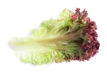 Photo of Leaf of fresh red coral lettuce isolated on white, top view