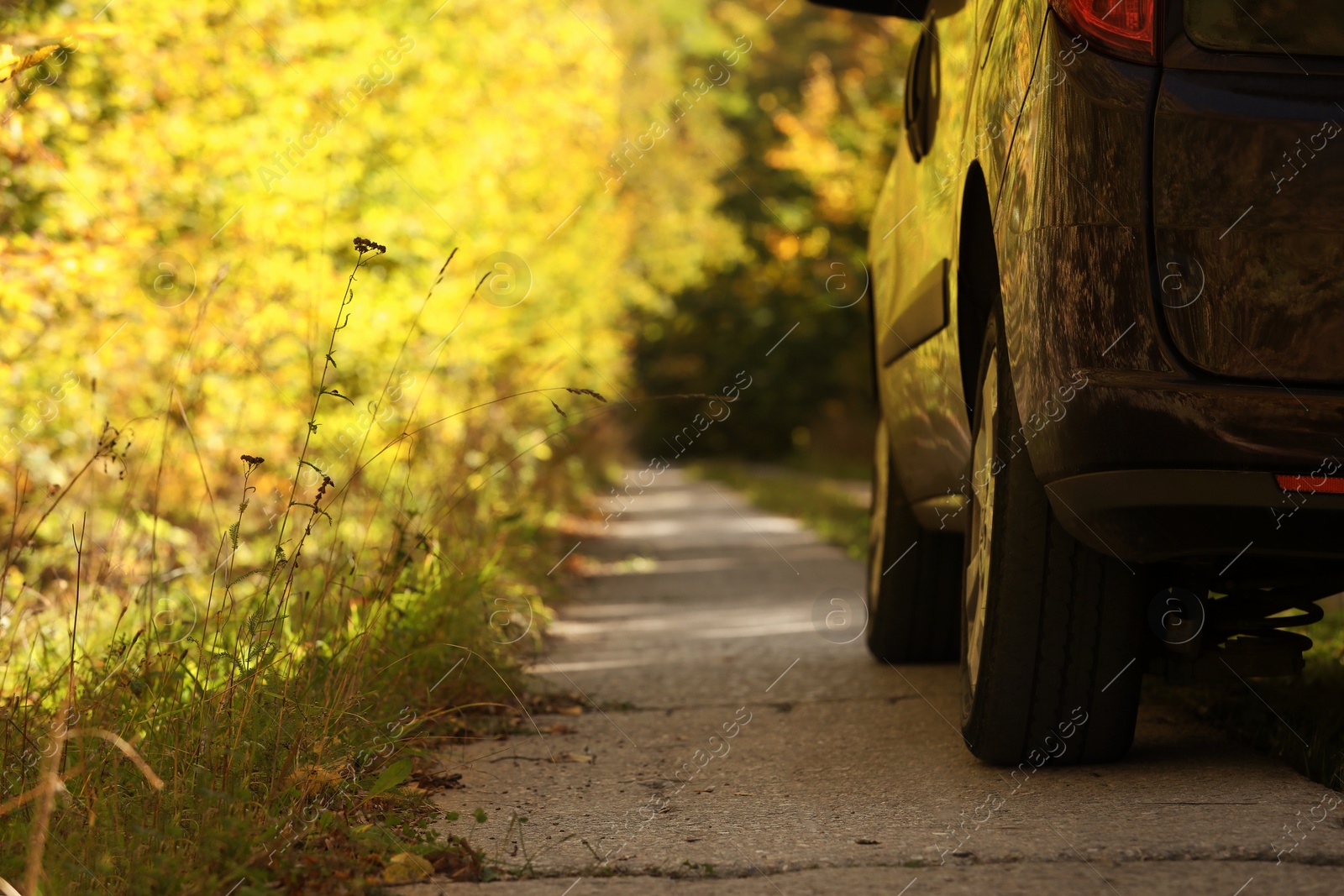 Photo of Car parked on country road near autumn forest. Space for text