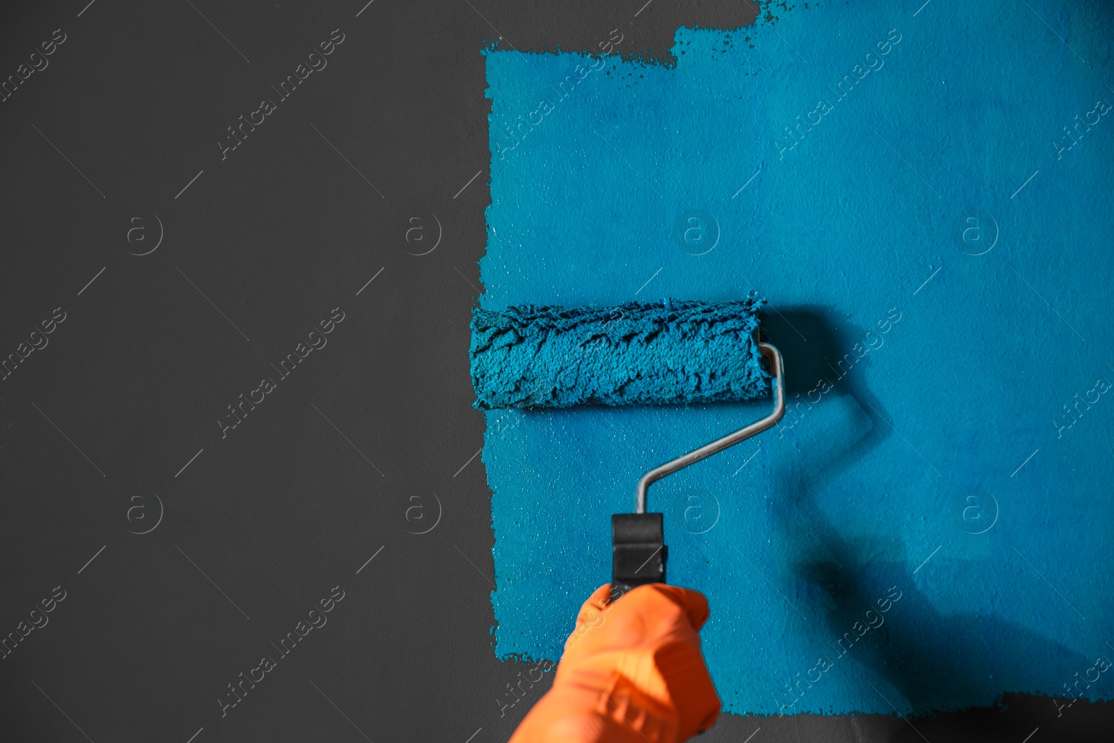 Photo of Woman painting grey wall with blue dye, closeup