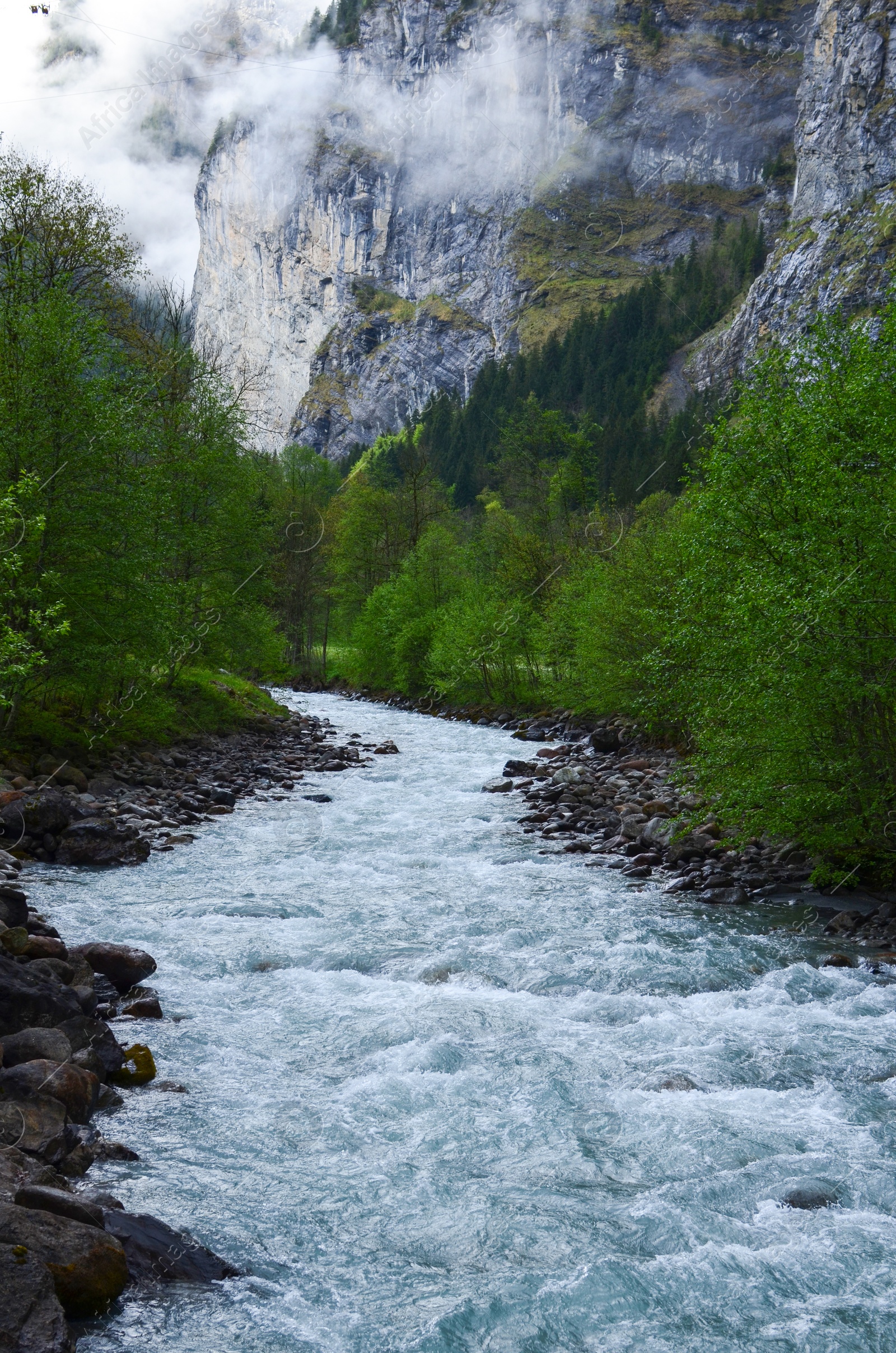 Photo of Picturesque view of beautiful stream flowing in mountains