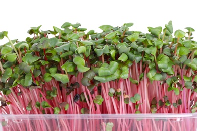 Fresh organic microgreen on white background, closeup