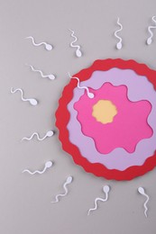 Fertilization concept. Sperm cells swimming towards egg cell on gray background, top view