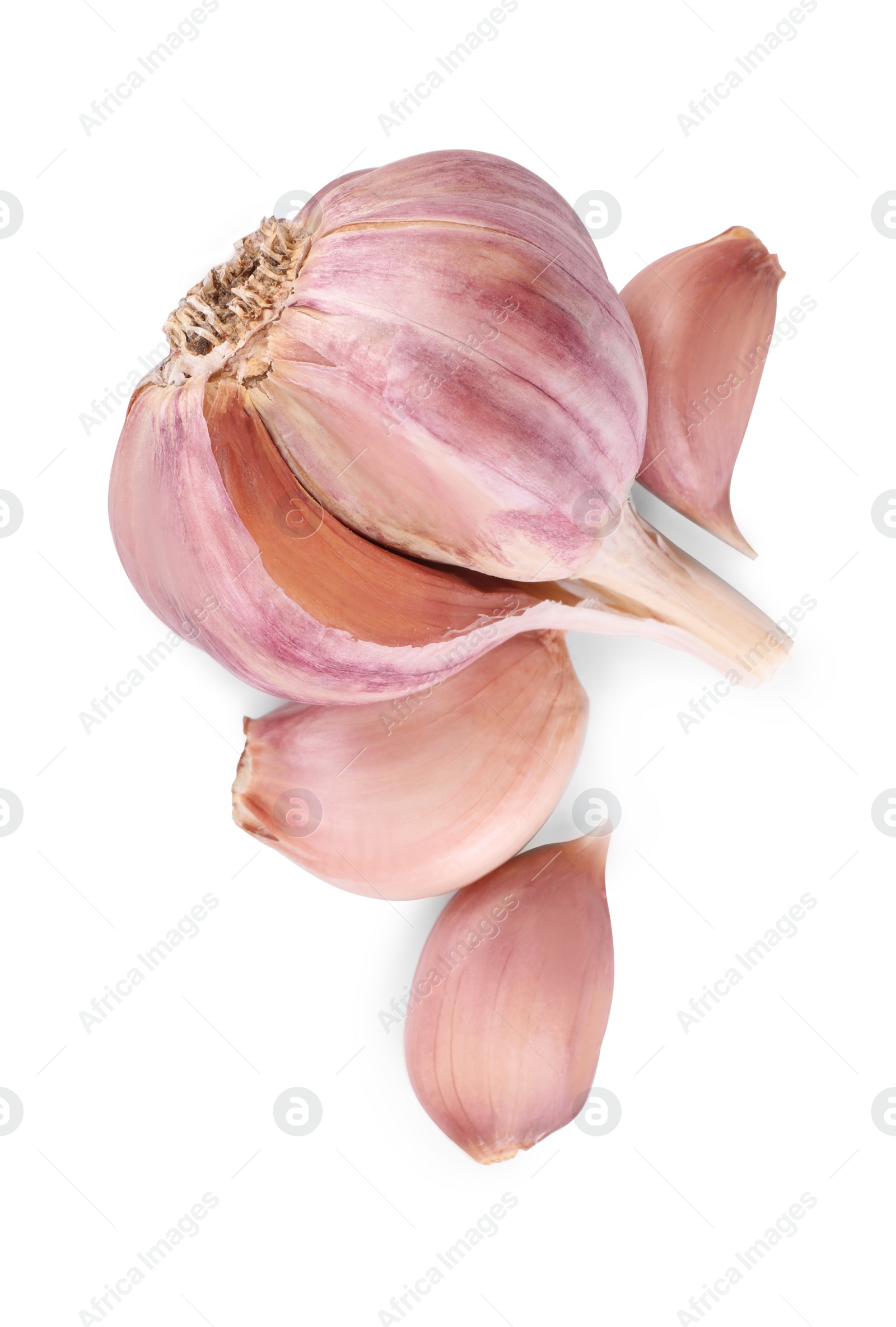 Photo of Head and cloves of fresh garlic isolated on white, top view