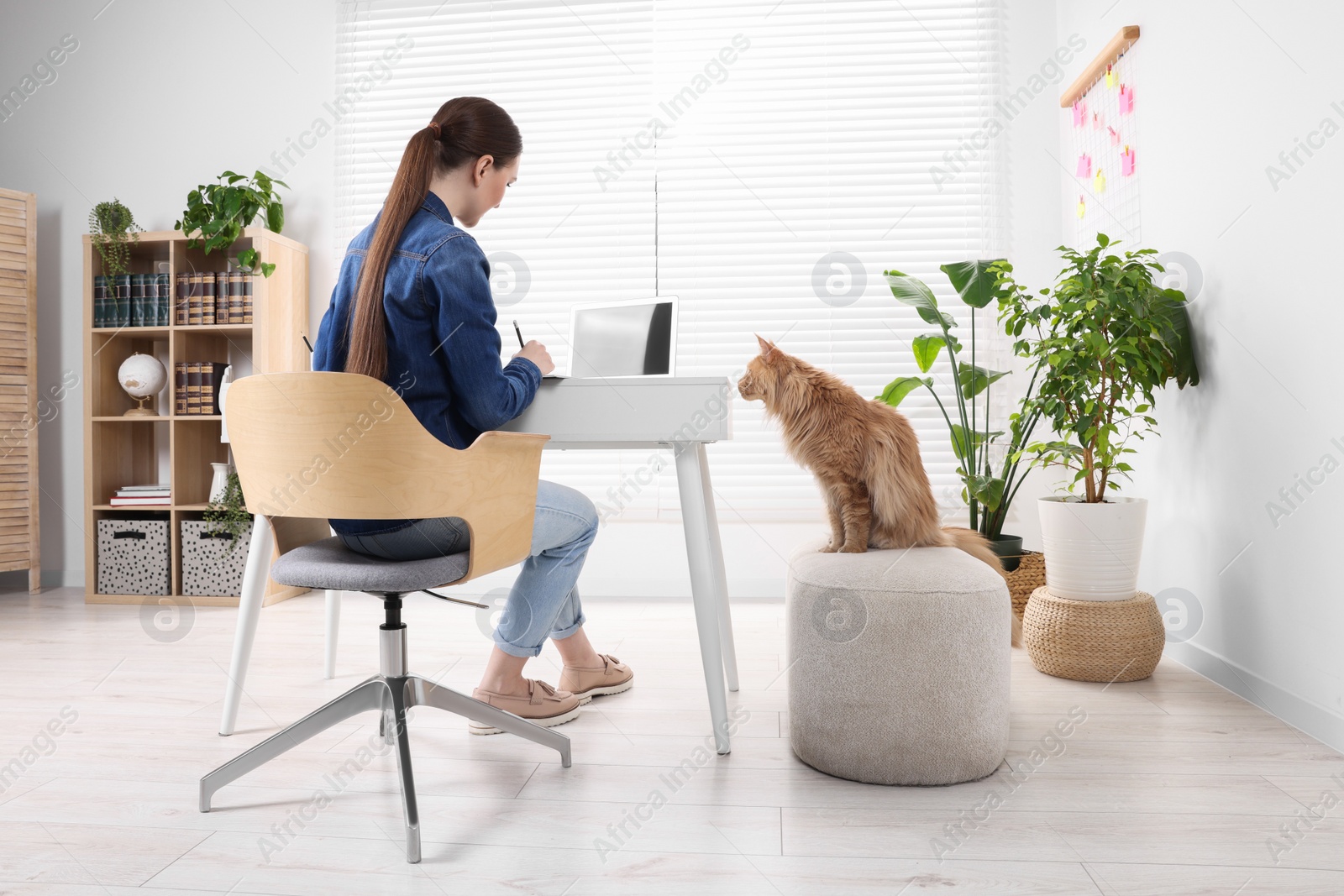 Photo of Woman working at desk and cat in room. Home office