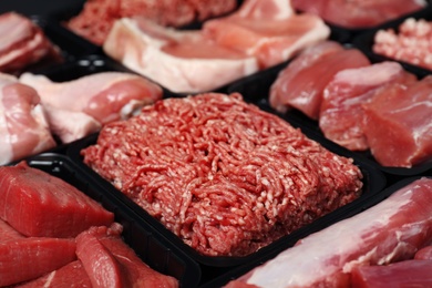 Photo of Containers with different raw meat, closeup view