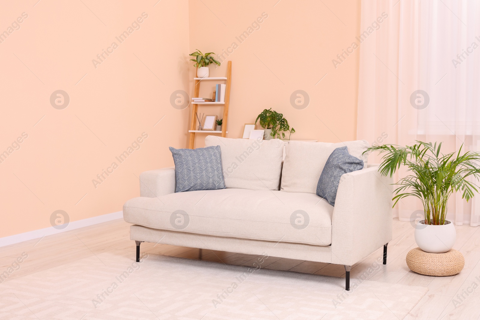 Photo of Comfortable sofa and potted plants at home. Interior design