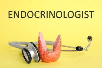 Endocrinologist. Model of thyroid gland and stethoscope on yellow background, closeup