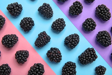 Photo of Flat lay composition with ripe blackberries on color background