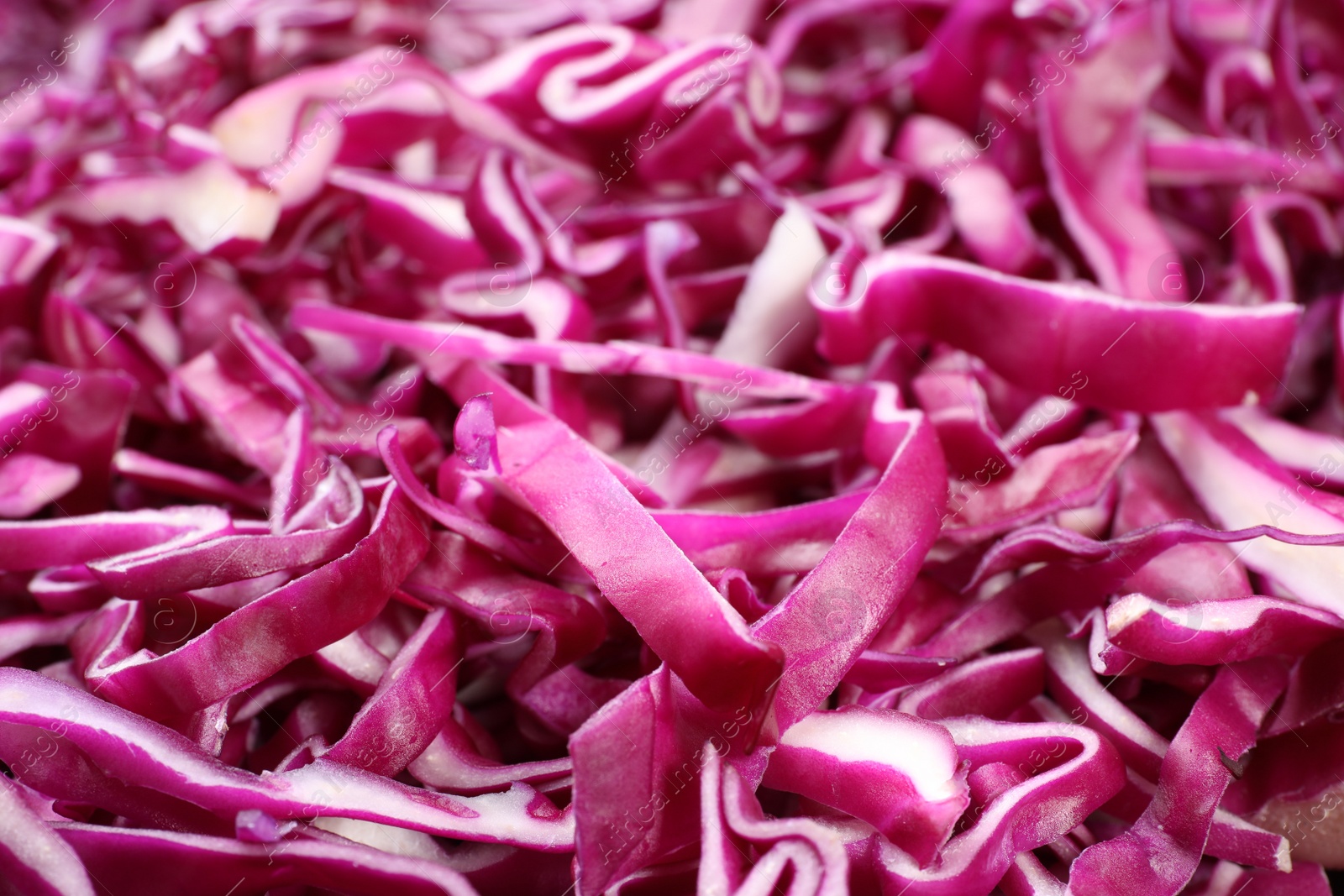 Photo of Tasty fresh shredded red cabbage as background, closeup