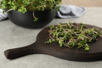 Photo of Board with fresh radish microgreens on light grey table