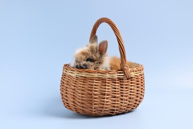 Photo of Cute little rabbit in wicker basket on light blue background