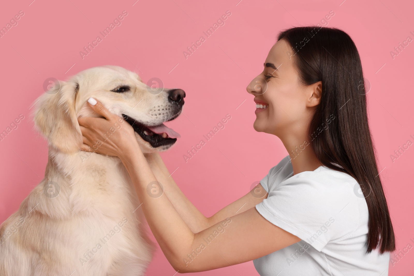 Photo of Happy woman playing with cute Labrador Retriever dog on pink background. Adorable pet