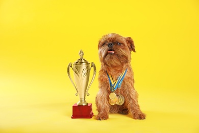 Photo of Cute Brussels Griffon dog with champion trophy and medals on yellow background