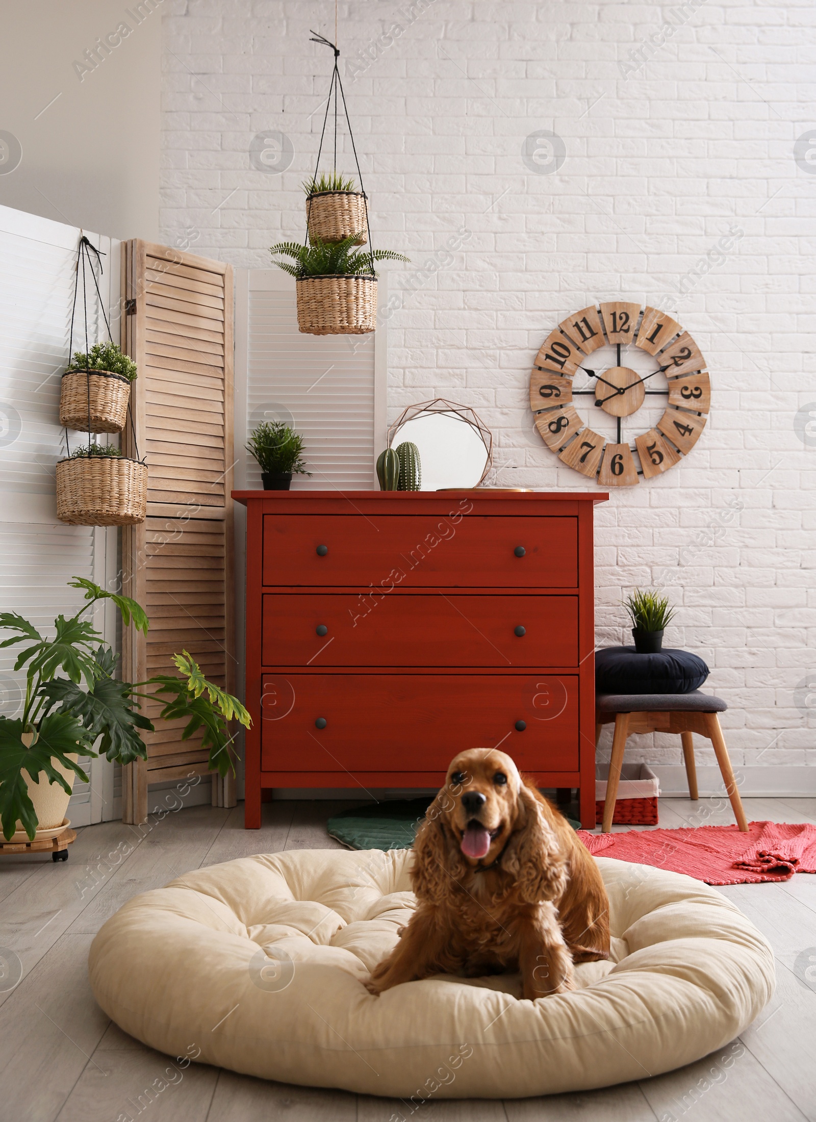Photo of Adorable dog on pet bed in stylish room interior