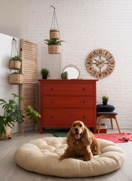 Adorable dog on pet bed in stylish room interior