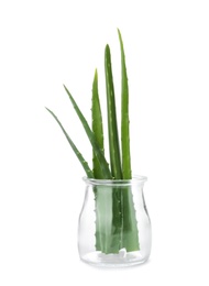 Jar with fresh aloe vera leaves on white background