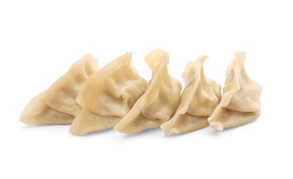 Delicious gyoza (asian dumplings) isolated on white