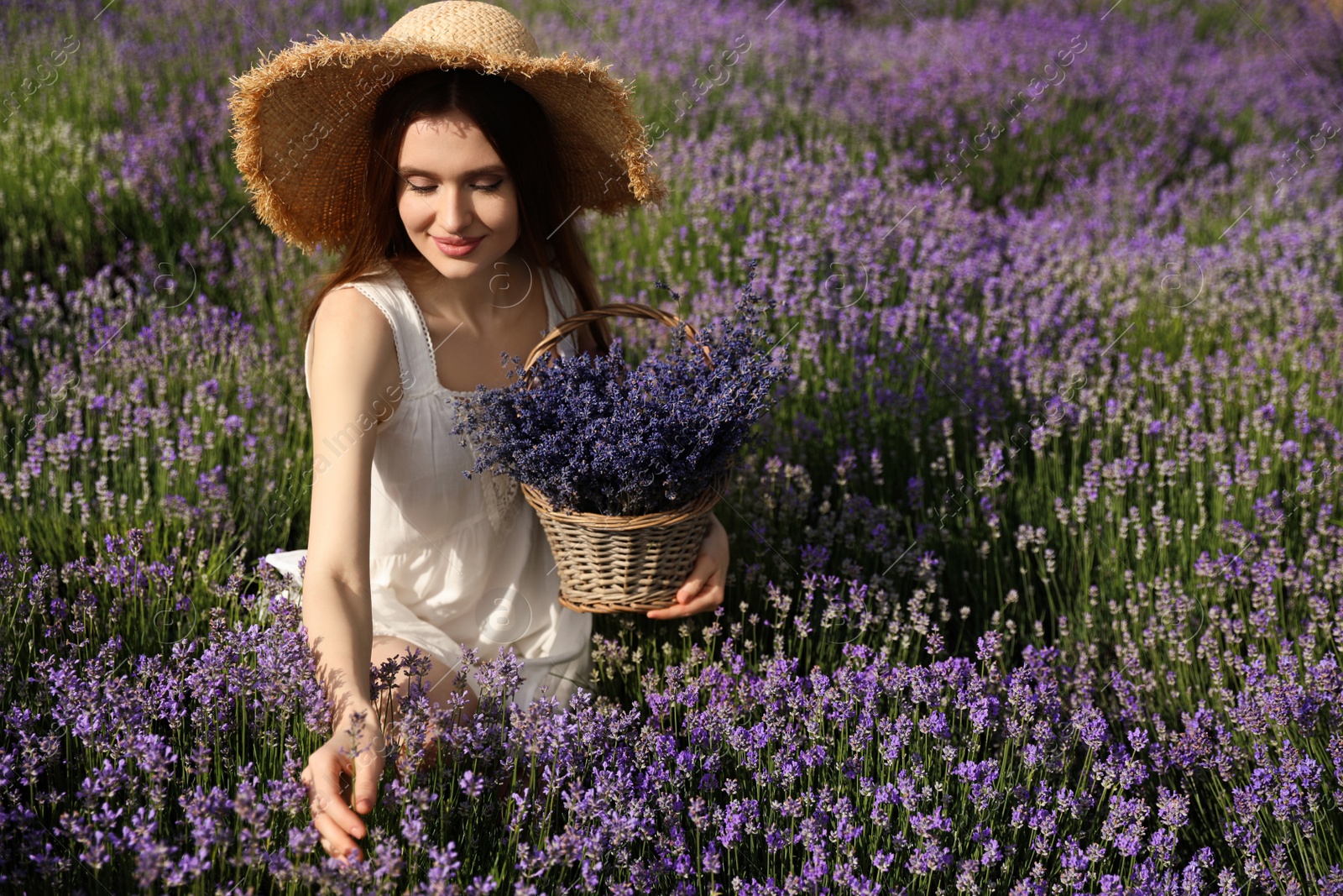 Photo of Young woman with wicker basket full of lavender flowers in field