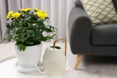 Beautiful chrysanthemum plant in flower pot and watering can on white table in room, space for text