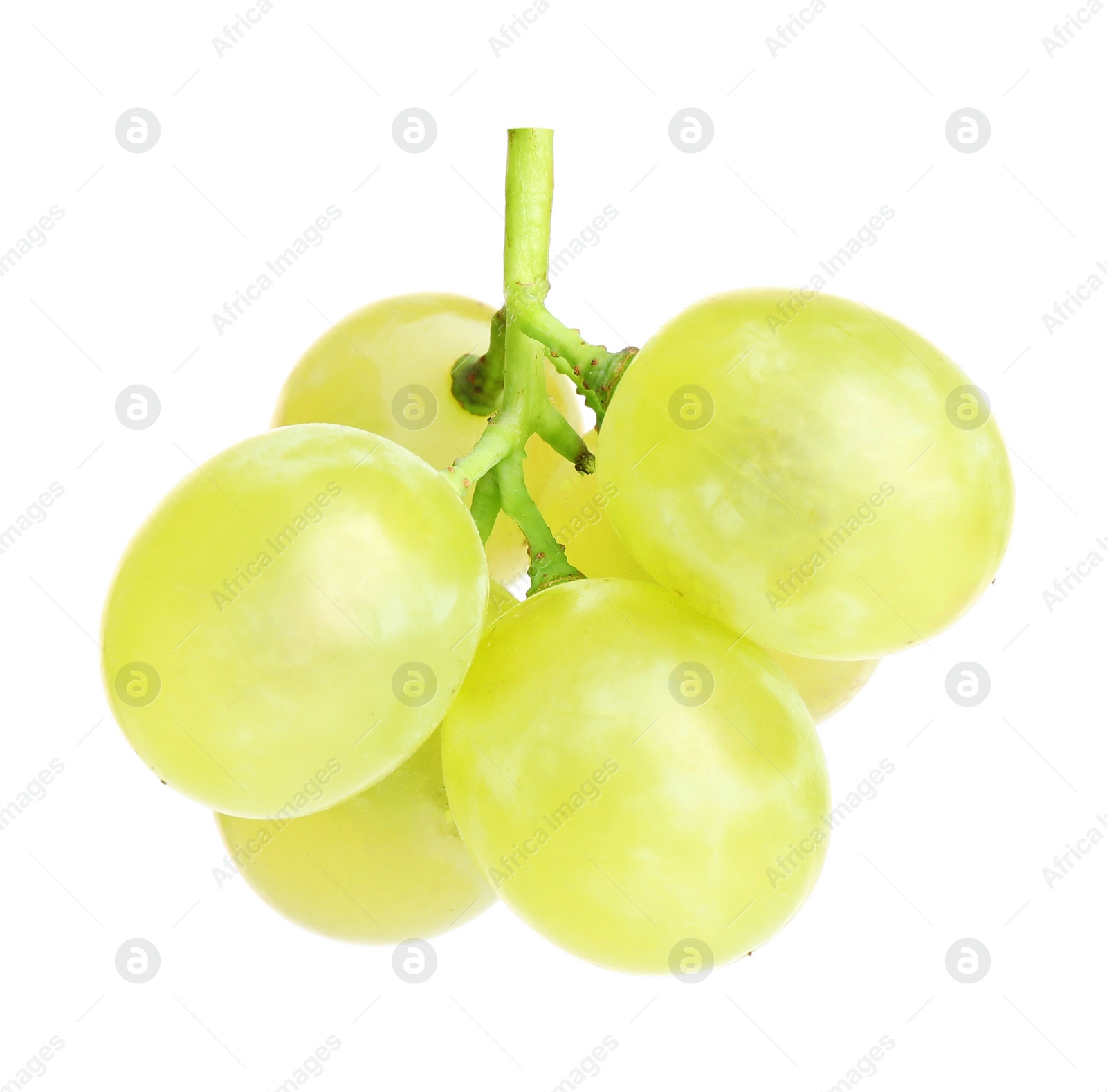 Photo of Fresh ripe juicy grapes isolated on white