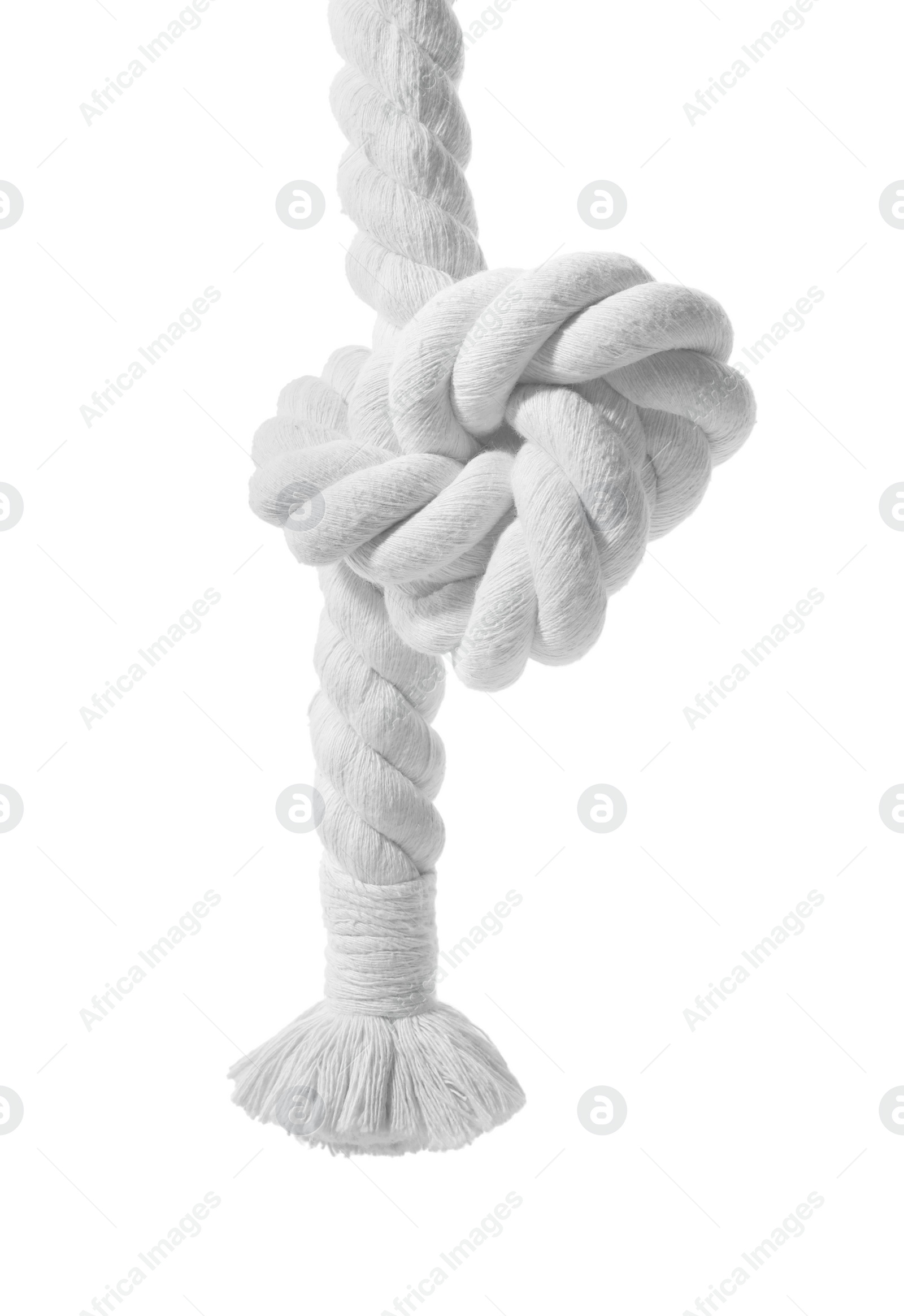 Photo of Hemp rope with knot isolated on white. Natural material