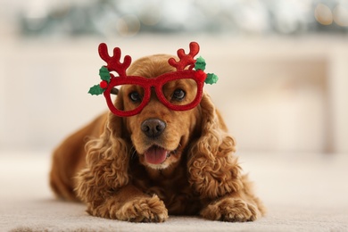 Adorable Cocker Spaniel dog in party glasses on blurred background, closeup
