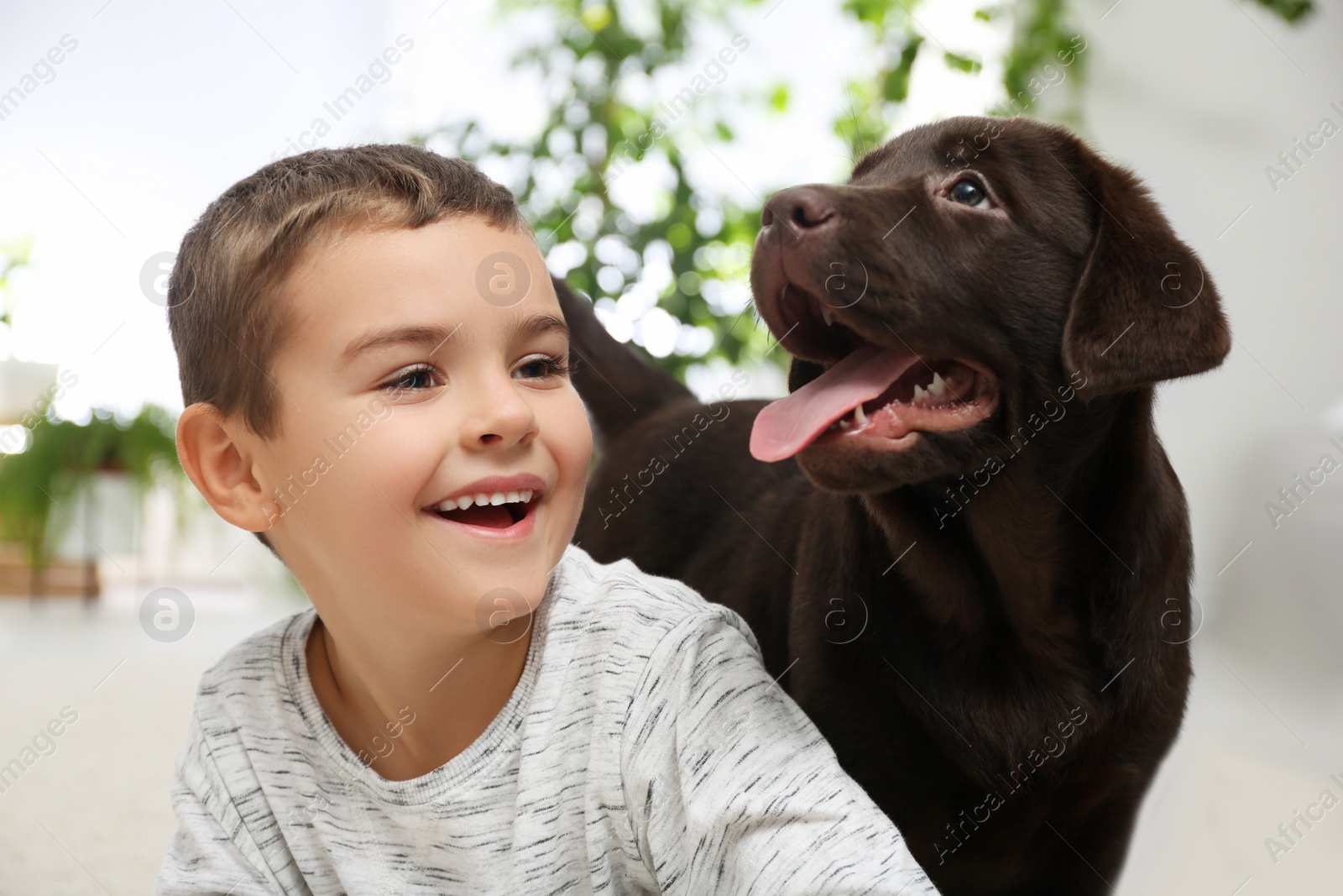 Photo of Little boy playing with puppy at home. Friendly dog