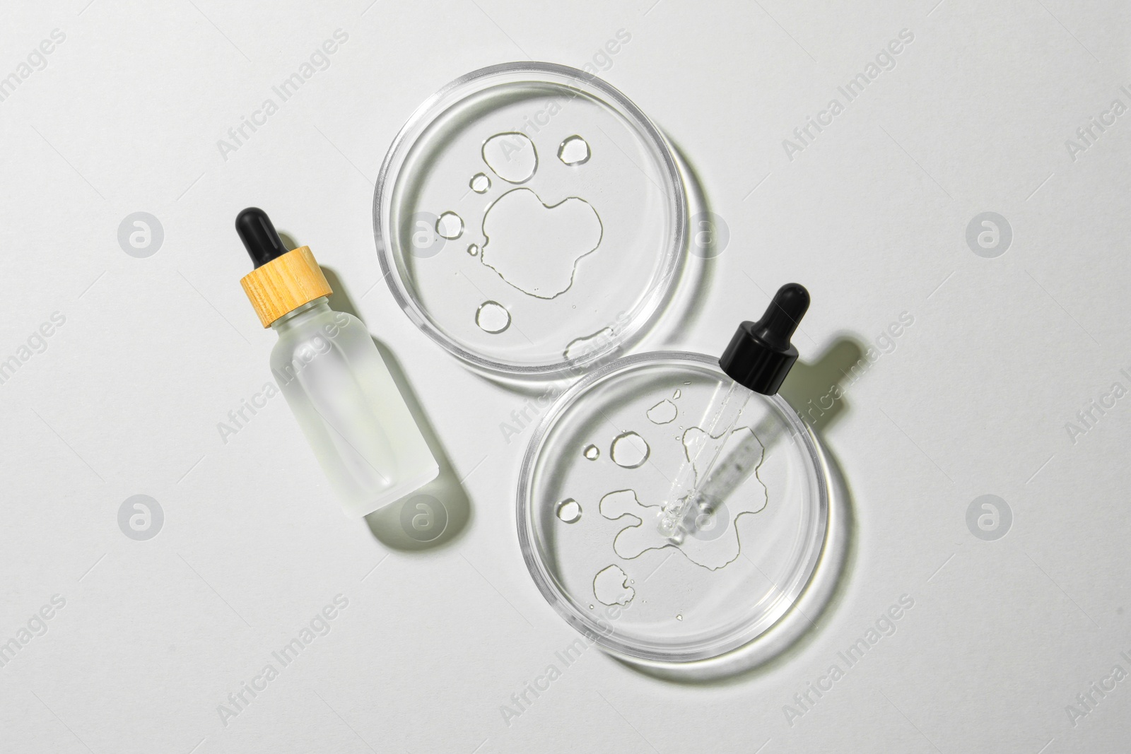 Photo of Flat lay composition with Petri dishes on light grey background