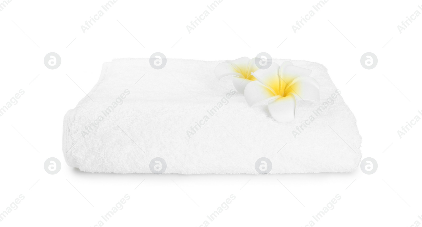 Photo of Terry towel and plumeria flowers isolated on white