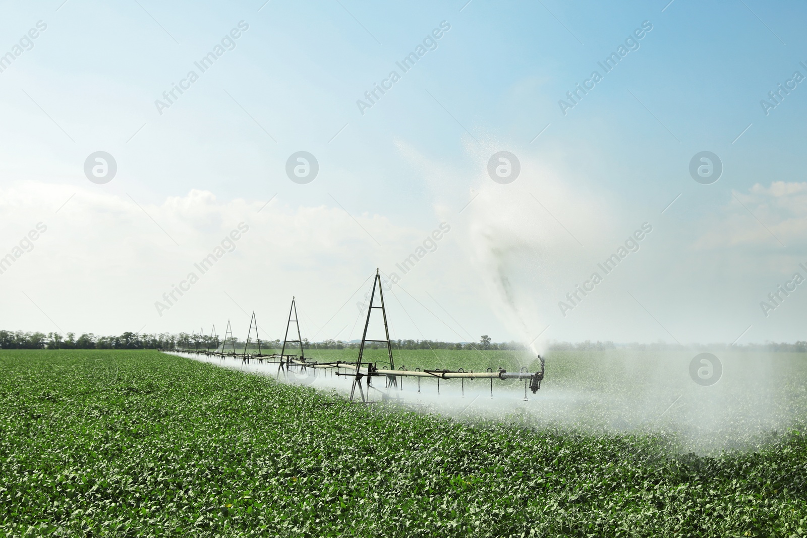 Photo of Field with irrigation system on sunny day