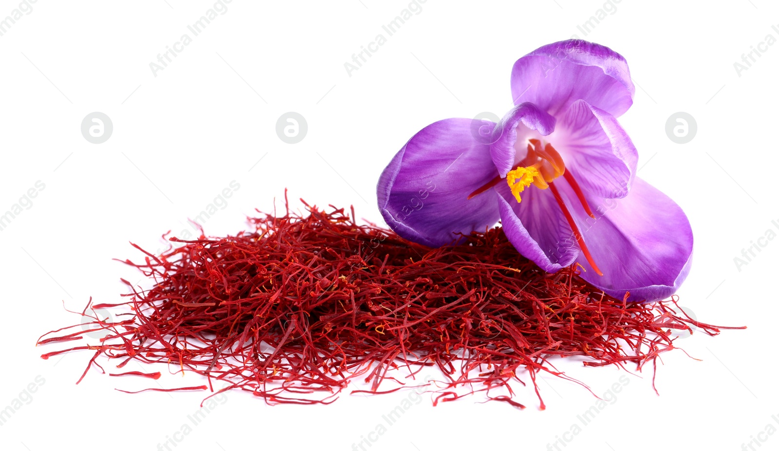 Photo of Pile of dried saffron and crocus flower on white background