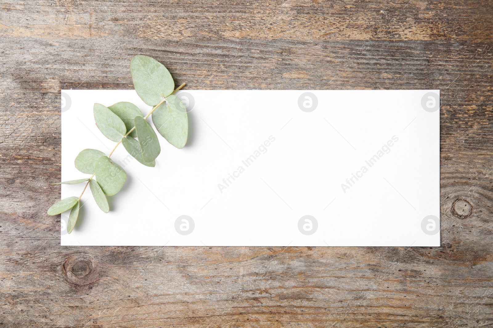 Photo of Fresh eucalyptus leaves and blank card with space for design on wooden background, top view