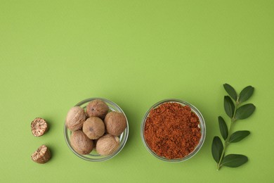 Photo of Nutmeg powder, seeds and branch on light green background, flat lay. Space for text