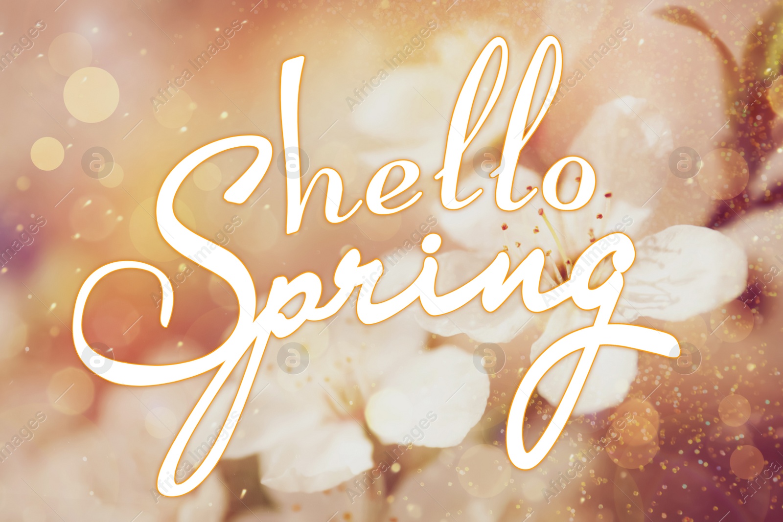 Image of Hello Spring. Blossoming tree outdoors, bokeh effect