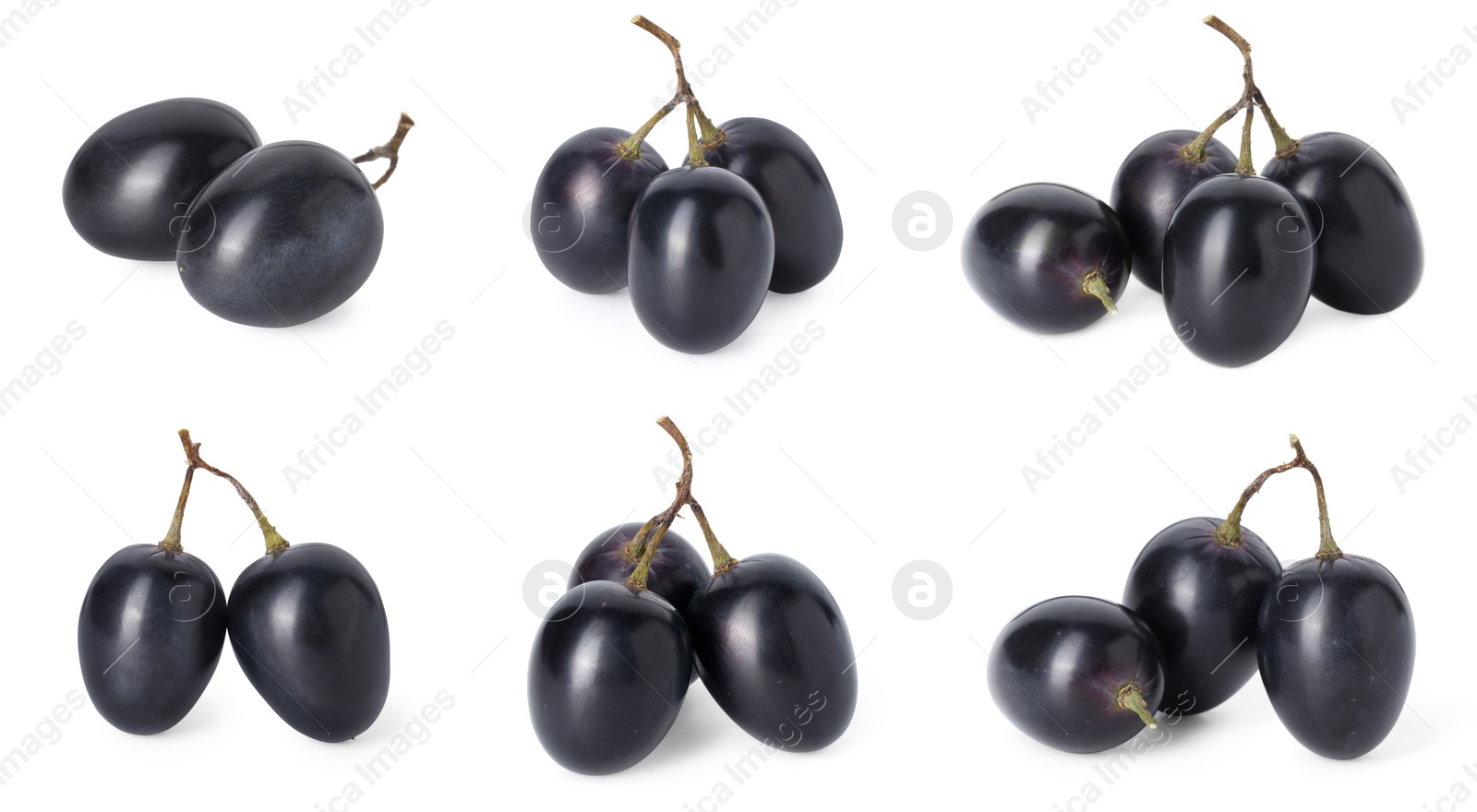 Image of Delicious fresh dark blue grapes isolated on white, set