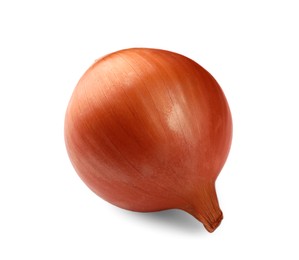 Photo of One fresh unpeeled onion on white background