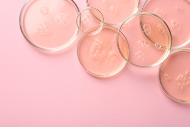 Petri dishes with liquid samples on pink background, flat lay. Space for text