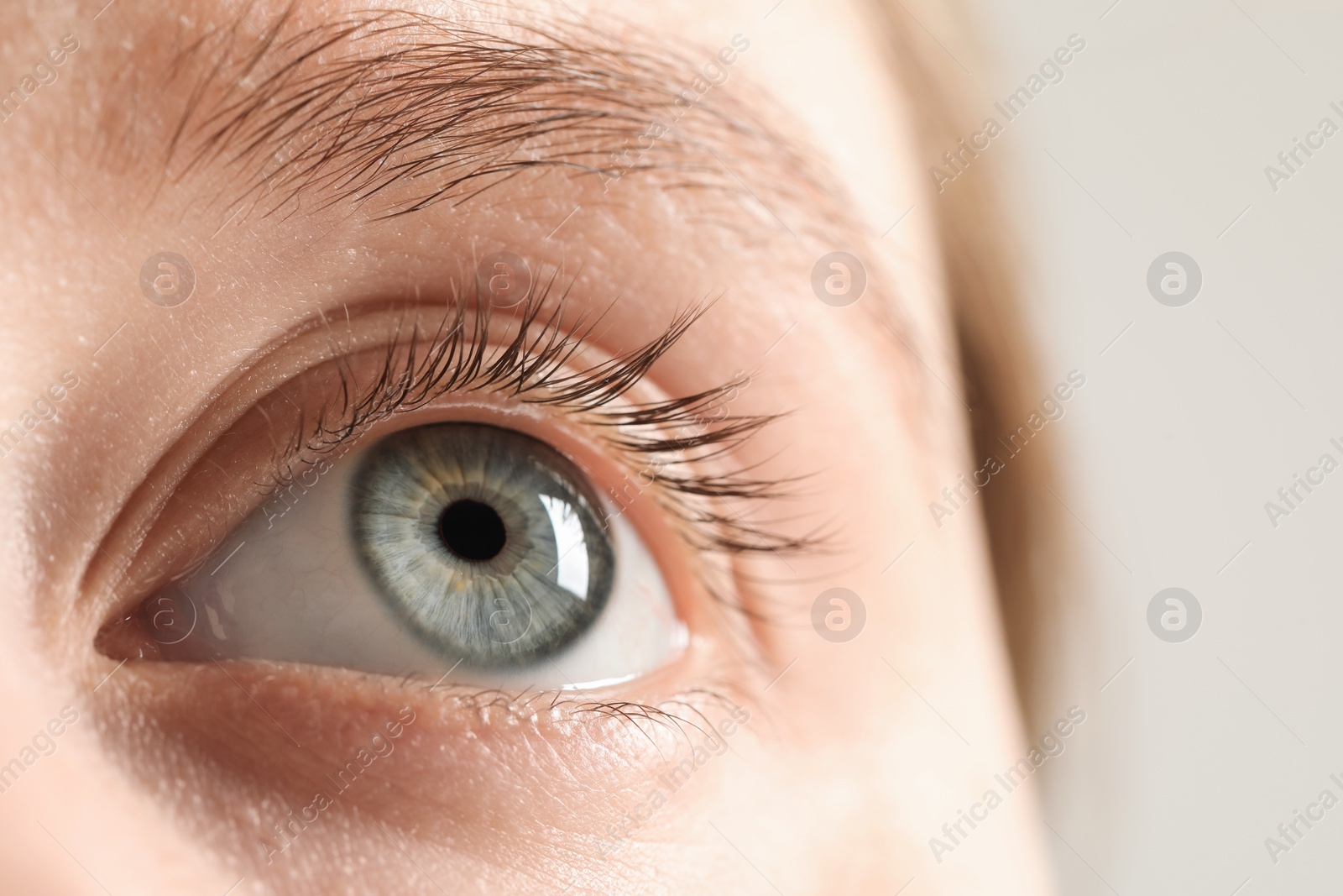 Photo of Macro photo of woman with beautiful eyes on light background