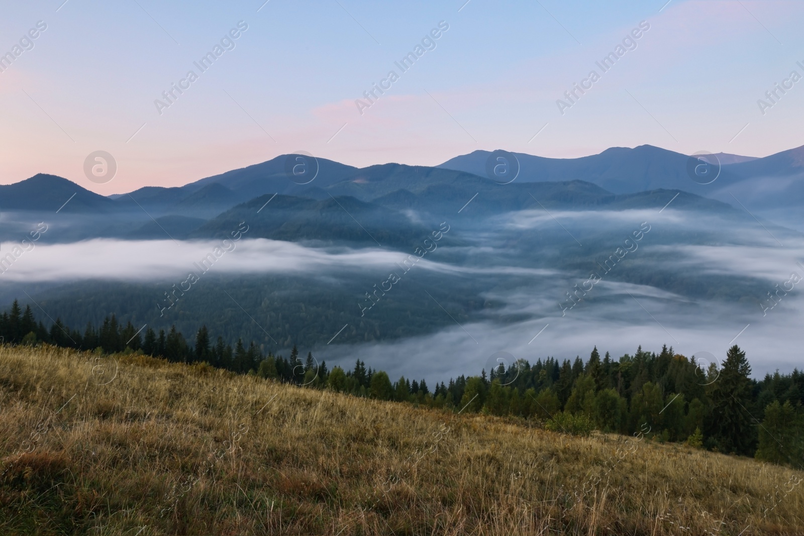 Photo of Amazing view of beautiful mountain landscape covered with fog