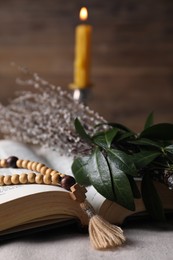 Rosary beads, Bible and willow branches on table, closeup