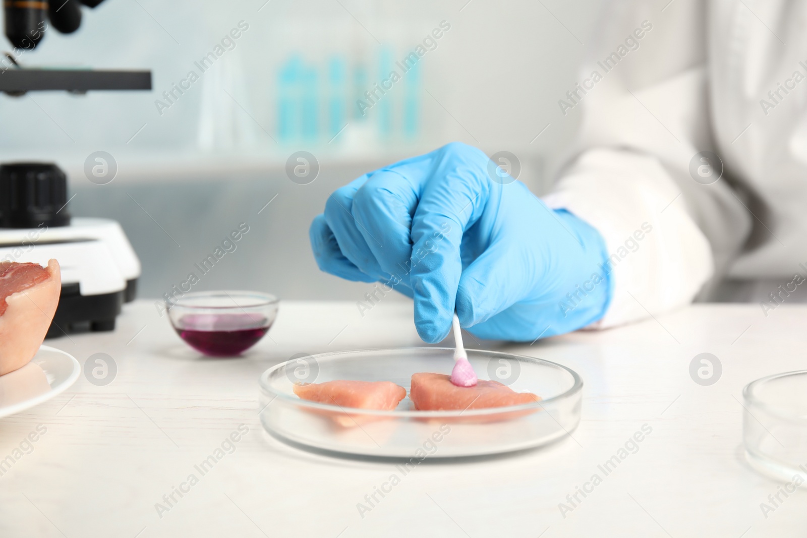 Photo of Scientist inspecting meat at table in laboratory, closeup. Poison detection