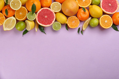 Photo of Flat lay composition with tangerines and different citrus fruits on lilac background. Space for text