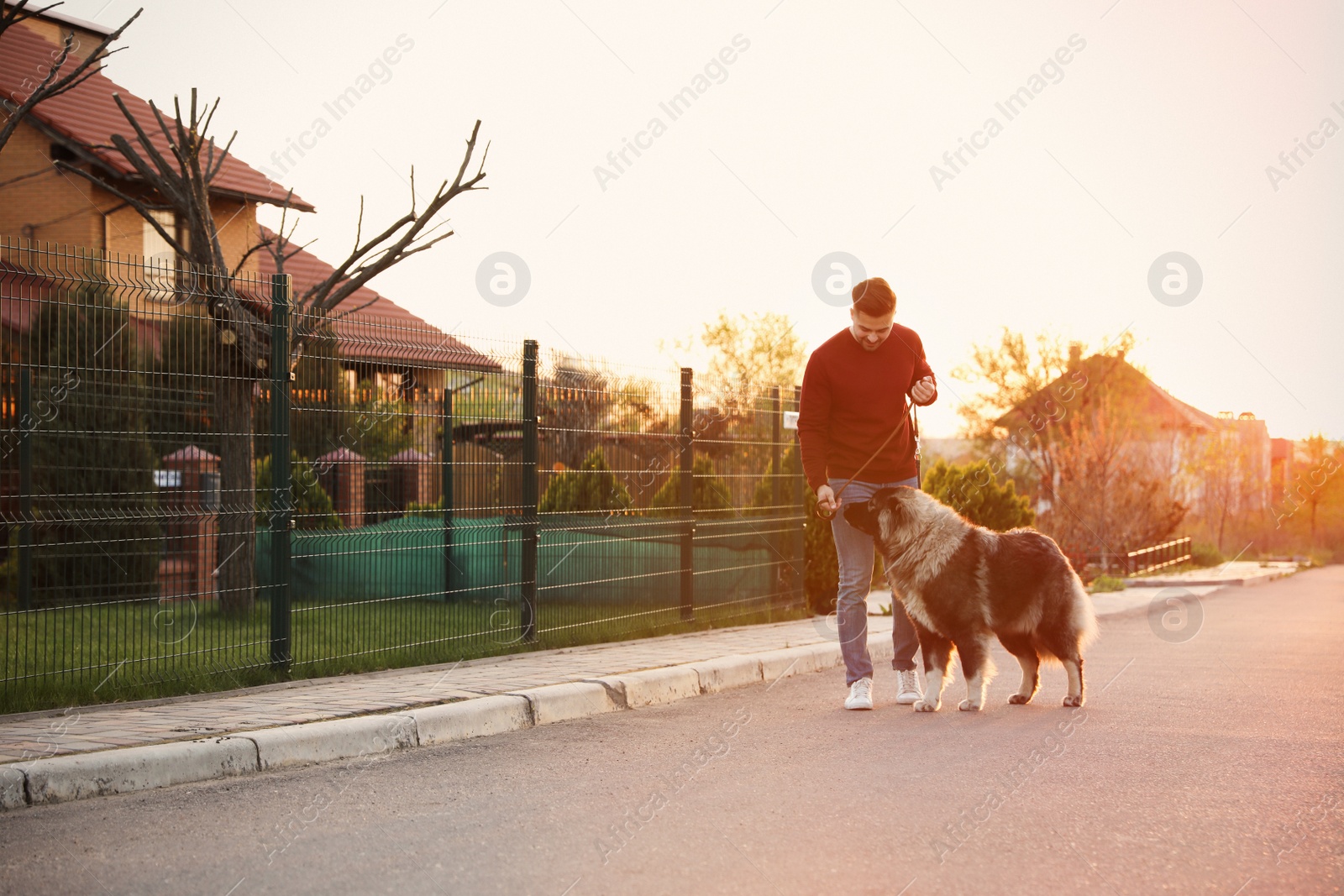 Photo of Young man walking his Caucasian Shepherd dog outdoors