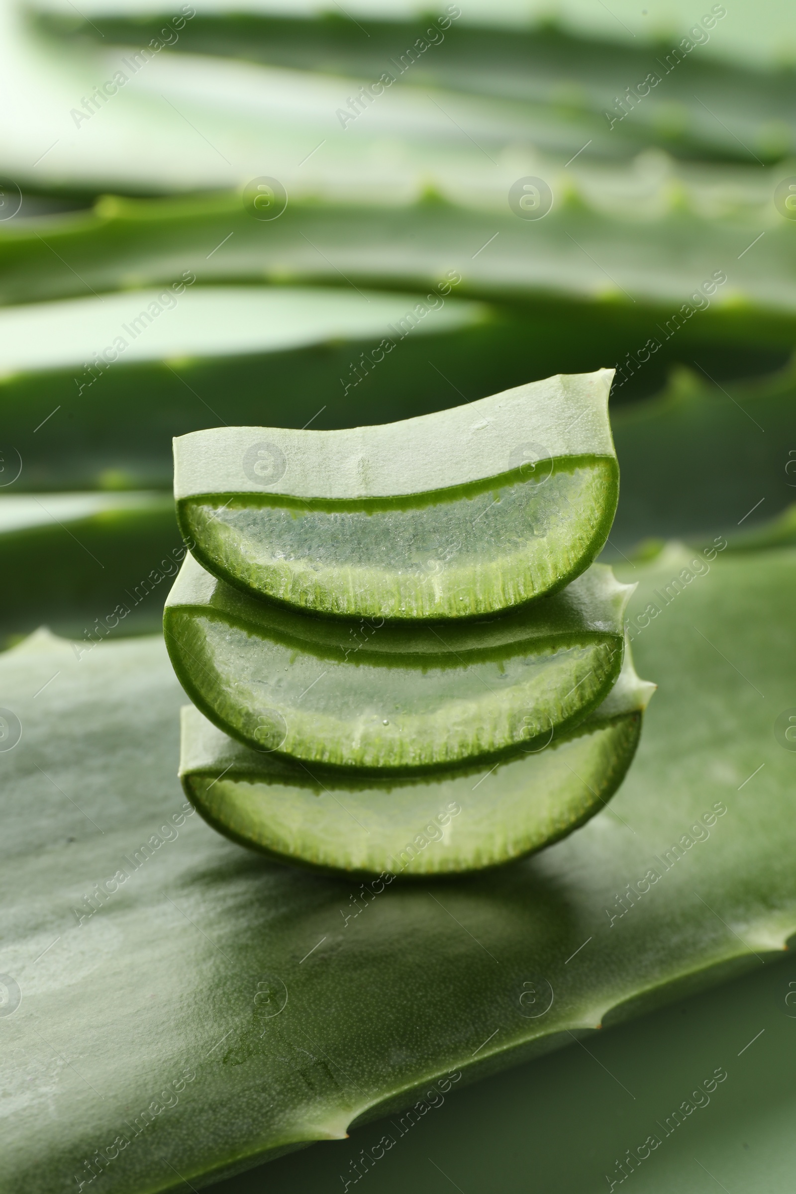 Photo of Fresh aloe vera pieces on green background, closeup