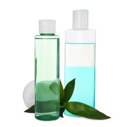 Bottles of micellar cleansing water, cotton pads and green plant on white background