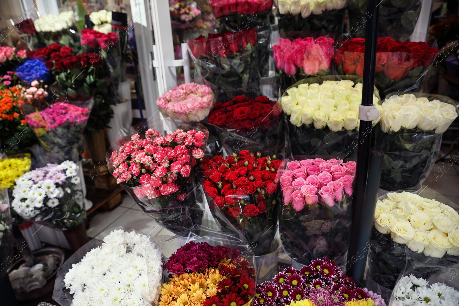 Photo of Assortment of beautiful flowers at wholesale market